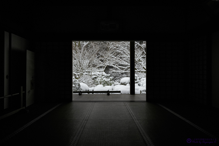 シグマ SIGMA 24mm F3.5 DG DN | Contemporary @ I series シグマ SIGMA 24mm F3.5 DG DN | Contemporary @ I series